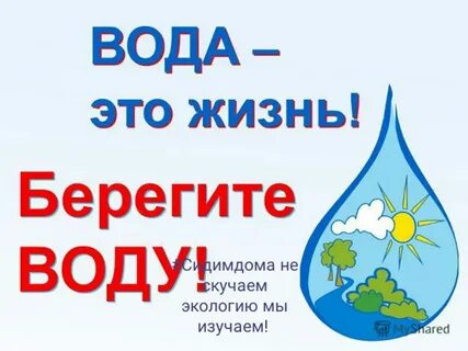 Берег и вода название