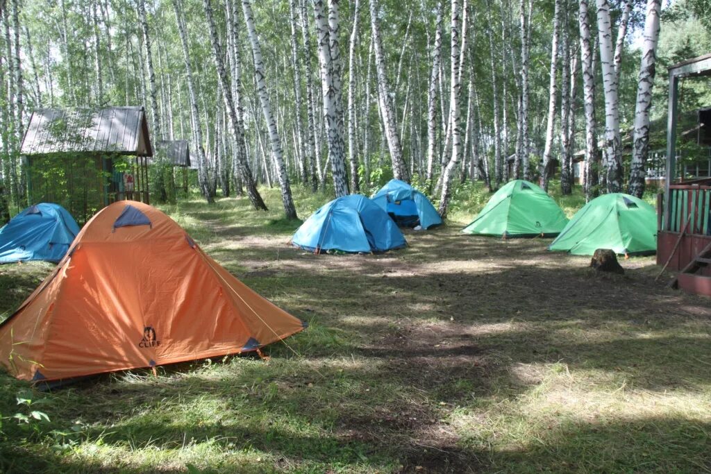 Меню палаточный лагерь. Палаточный лагерь кедр. Томск. Палаточный городок Бердск. Анашенский пляж палаточный лагерь. Палаточный лагерь логапарк.