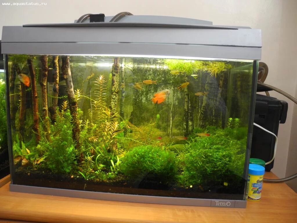 шкаф купе ширина 2000 высота 2700 глубина 600. шкаф купе ширина 1700 высота 2400. размеры длина 130 см ширина. как узнать объем емкости в литрах. размеры длина 130 см ширина.