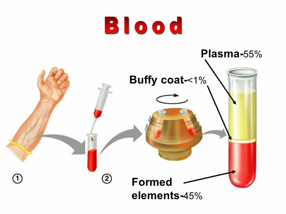 Сыворотка крови диагноз. Плазма крови. Кровь плазма крови. Сыворотка крови. Плазма и сыворотка крови пробирки.