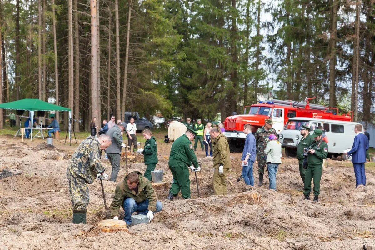 Порошино сегодня. Киров Порошино лес. Порошино Киров тропа здоровья. Порошино Ивановская область. Порошино тропы здоровья.