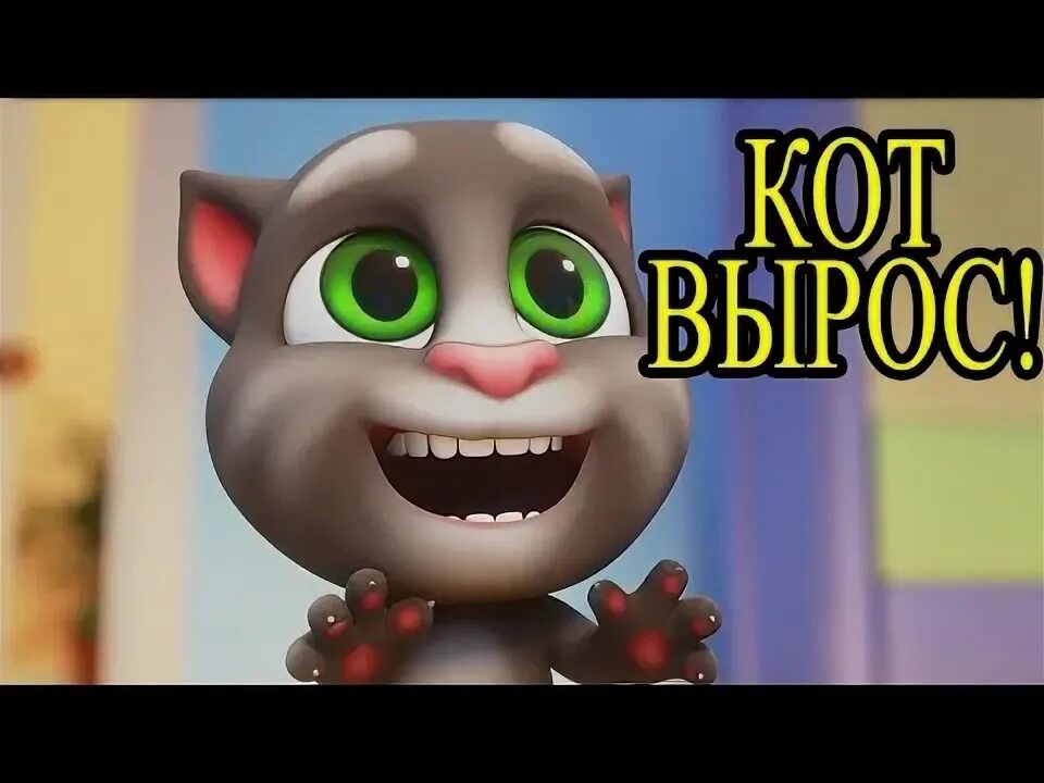 Песни говорящего тома. Talking tom and friends becca angela. Игра my talking tom. Мой том песни. Outfit7 talking tom зима.