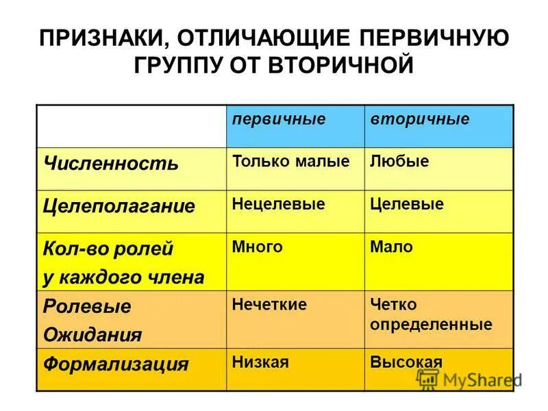 Первичные группы общества