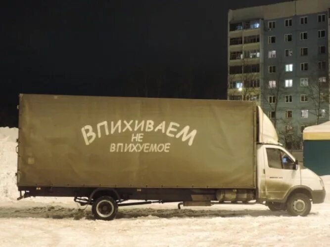 Надпись газель фото Ответы : а я в детстве хотела стать певицей Погучевой или космонавтом) а