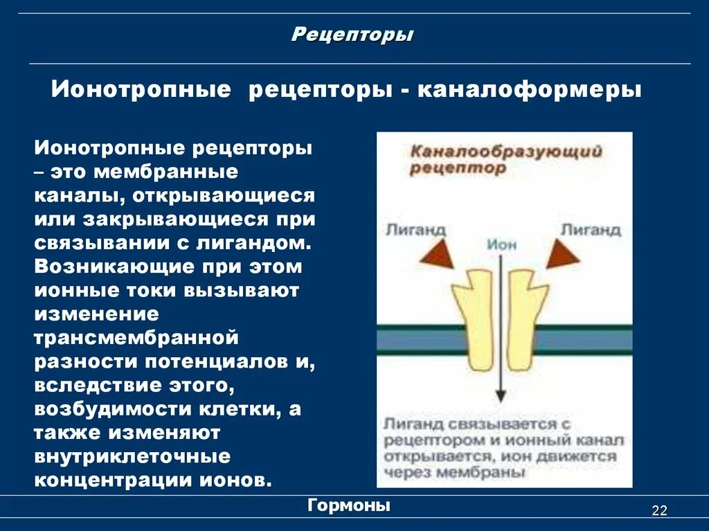 Мембранные рецепторы (Метабо- и ионотропные). Ионотропные рецепторы схема. Ионотроаные рецепторы физиология. Ибомотропные рецепторы.