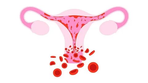 Соғыс туралы порно видео