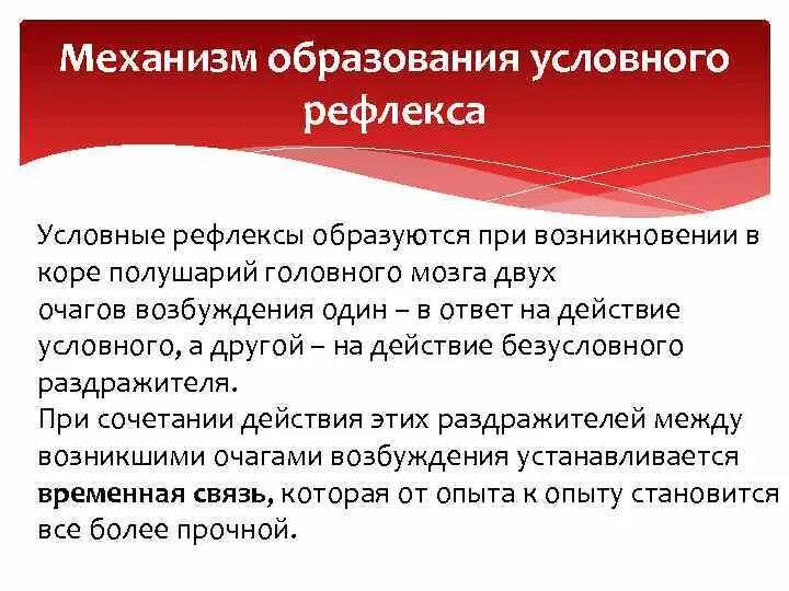 Каков основной механизм образования условных рефлексов?. Механизм образования условных рефлексов кратко. Механизм выработки условного рефлекса кратко. Механизм формирования условного рефлекса физиология.