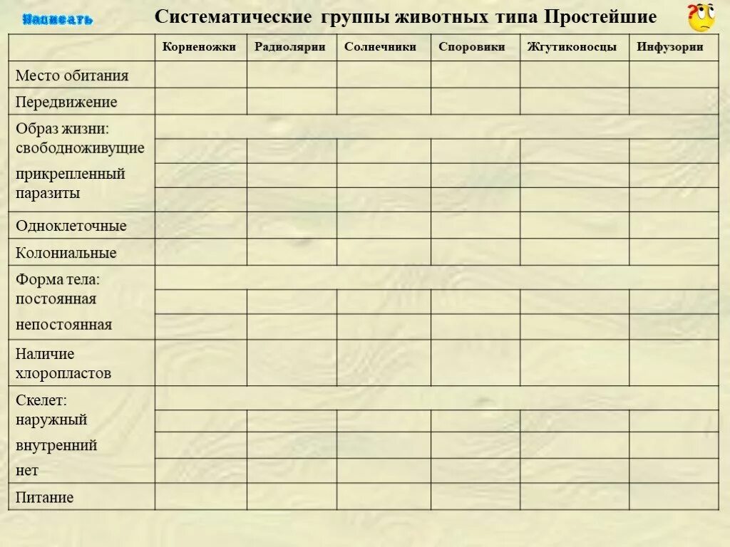 Общее количество простейших. Тип простейшие таблица биология 7 класс. Систематические группы животных типа простейшие. Сравнительная характеристика основных групп простейших. Систематические группы простейших таблица.