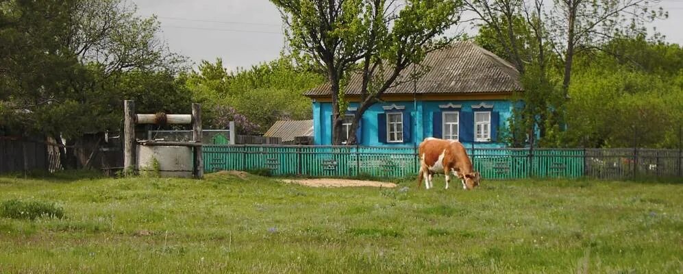 Хутор куликовский новониколаевский район волгоградская область