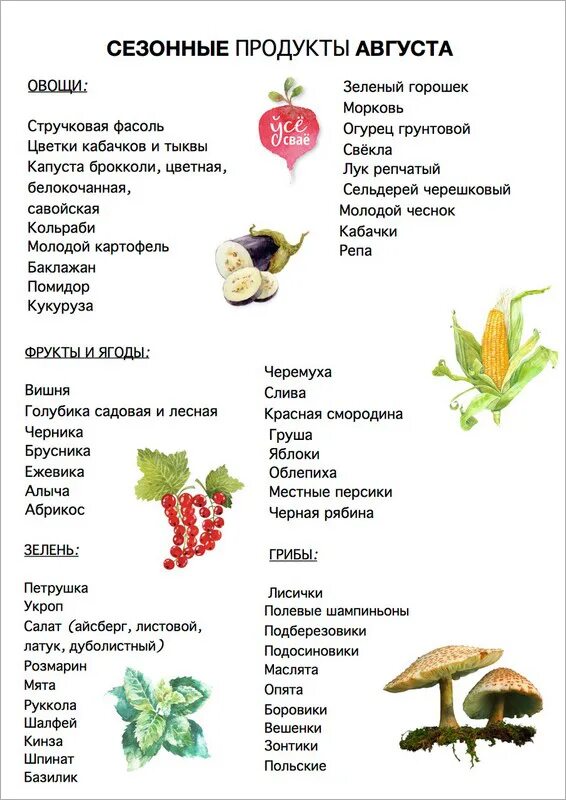 Сезонные фрукты август. Что относится к ягодам а что к фруктам. Сезонные фрукты август. Сезонные фрукты август. Сезонные фрукты август.