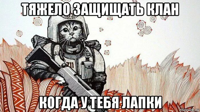 Кот стоящий на задних лапах мем. Мемы про клан. шутки про клан. мем вступай в клан. клановые приколы.