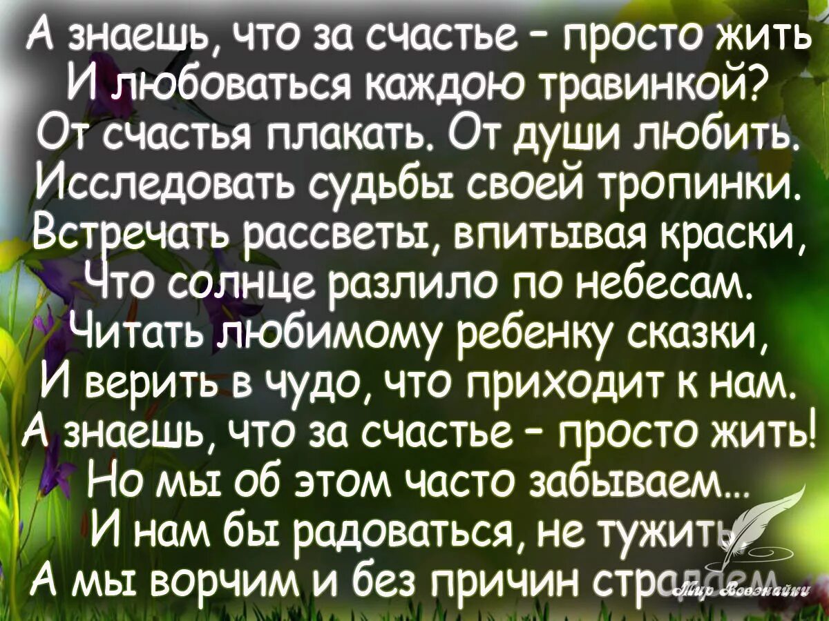 Стихотворение лучшая жизнь. Стихи о счастье жить. Стихи о счастливой жизни. Счастье просто жить стихи. Стихотворение о счастье в жизни.