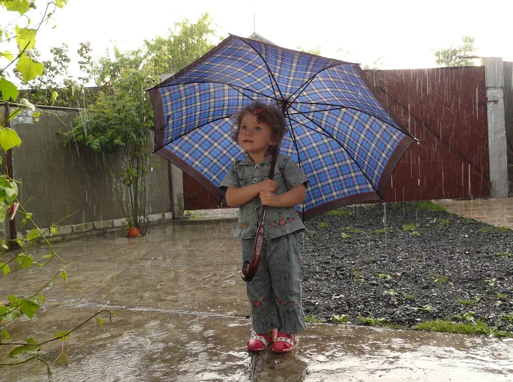 Мальчик с зонтом. Дети под зонтом. Под зонтиком. Дождь на даче. Сколько лет зонтику