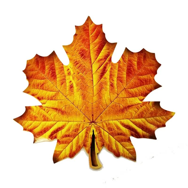 Листья для оформления класса. Кленовый лист. Осенние листочки. Кленовые листочки. Кленовый лист цветной.