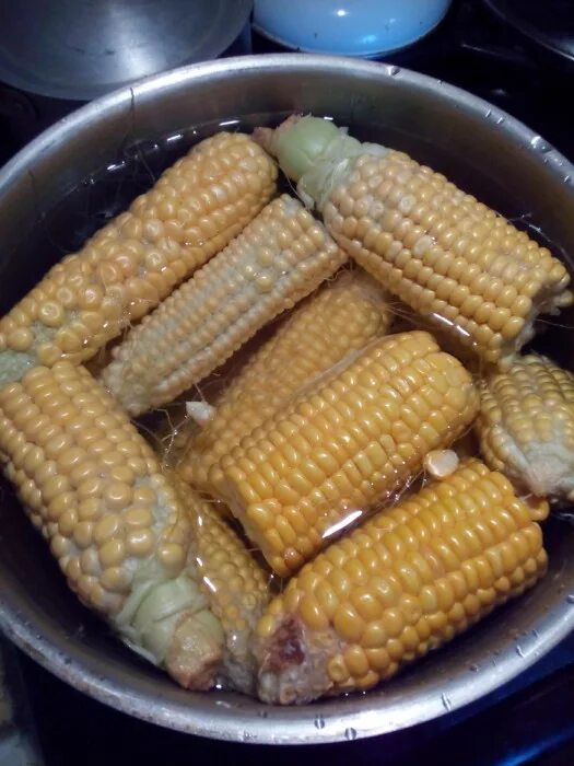 Кукуруза домашняя. Вареная кукуруза. Початок от кукурузы. Кукуруза в початках замороженная.