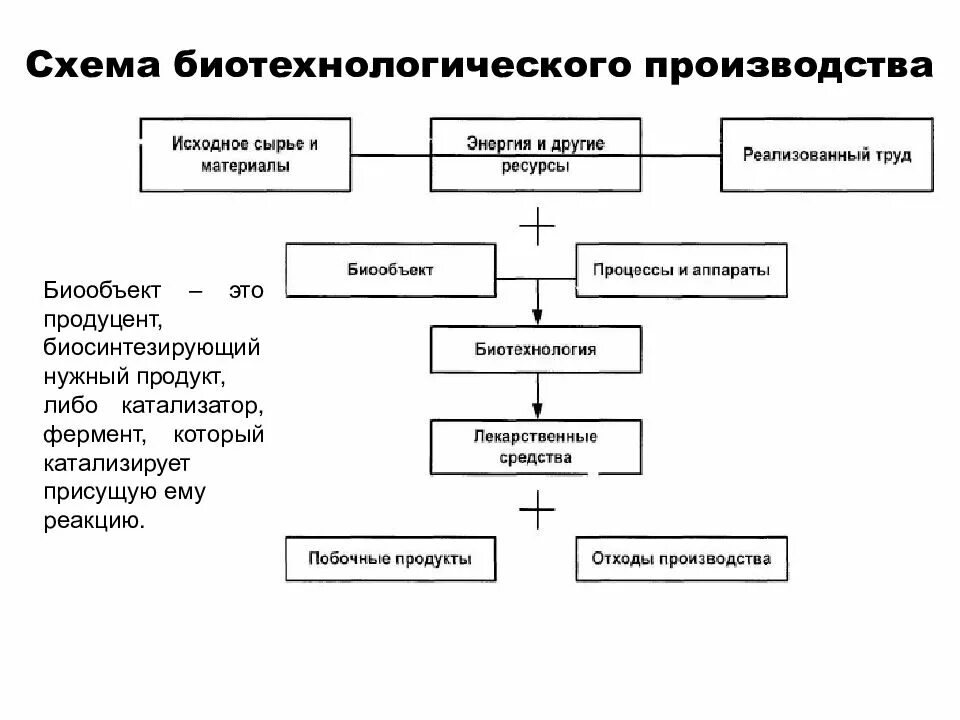 Этапы биотехнологии. Схема производственного биотехнологического процесса. Биотехнологическая схема производства продуктов микробного синтеза. Общая схема биотехнологического производства. Принципиальная схема биотехнологического процесса.