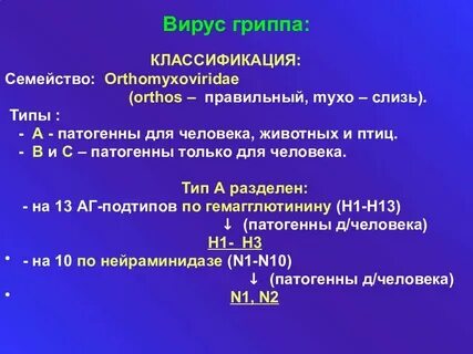 Таксономия возбудителя гриппа