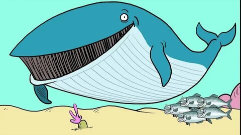 Partner whale