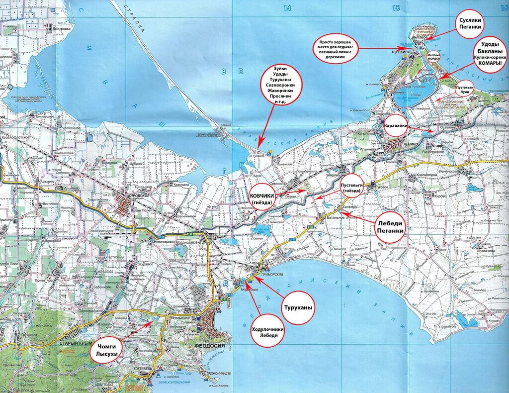 феодосия 1475. карта феодосии. феодосия карта города с улицами. феодосия подробная карта города. где ответ за феодосию.
