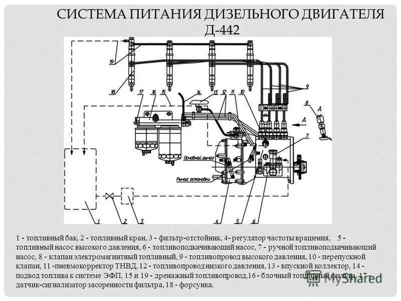 Агрегаты системы питания дизельного двигателя. Схема устройства системы питания дизельного ДВС. Схема системы питания дизеля. Схема дизельной системы питания. Устройство системы питания дизельного