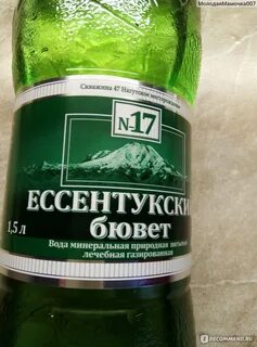 Скважина ессентуки 17