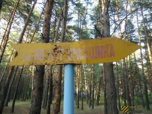 Буревестник омск база. Пионерский лагерь в Чернолучье. Чернолучье Омская область Пионерский лагерь имени Покрышкина. Лагерь Чернолучье Омск. Дол Спутник Чернолучье.