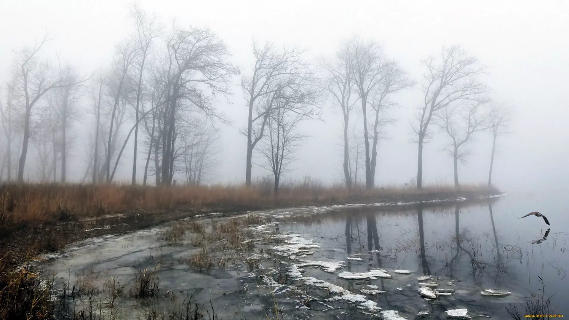 Поздняя хмурая осень. Описание пасмурного весеннего дня