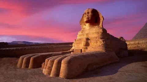 Egyptian live