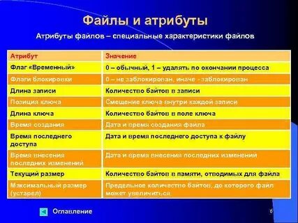 Файл имеет атрибут