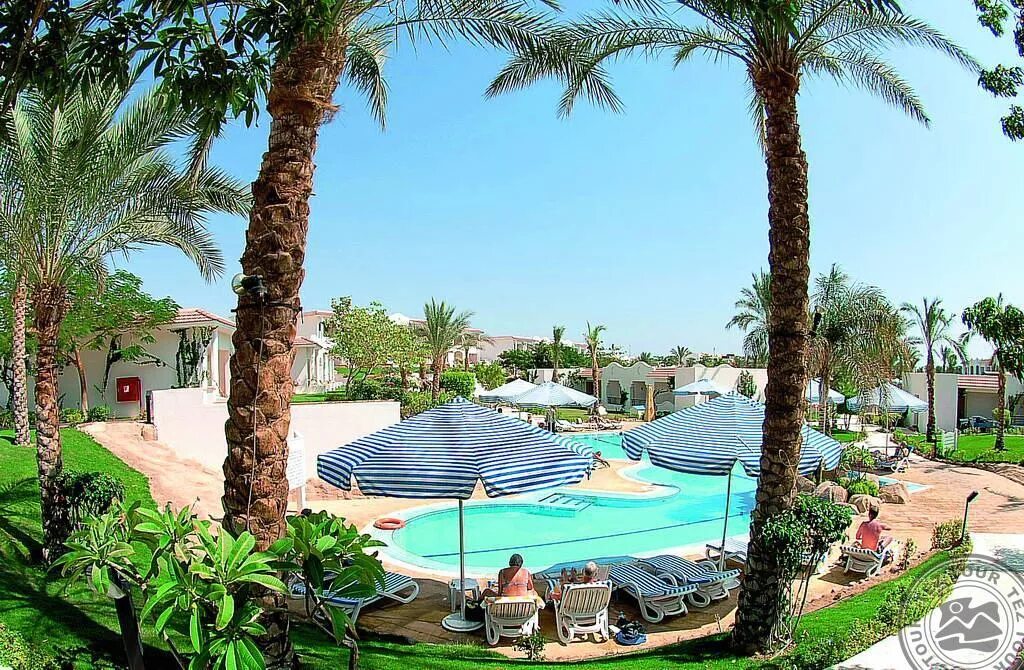 Jaz sharm dreams шарм эль шейх. Отель jaz sharm dreams шарм-эль-шейх. Шарм дримс резорт 5 шарм шейх. Jaz sharm dreams шарм эль шейх. Jaz sharm dreams шарм эль шейх.