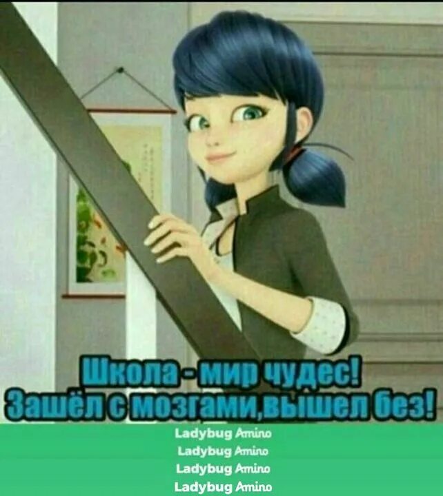 Мемы леди баг и супер