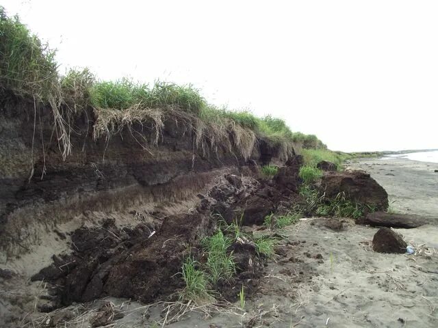 Лагерь пески 2 псковская область