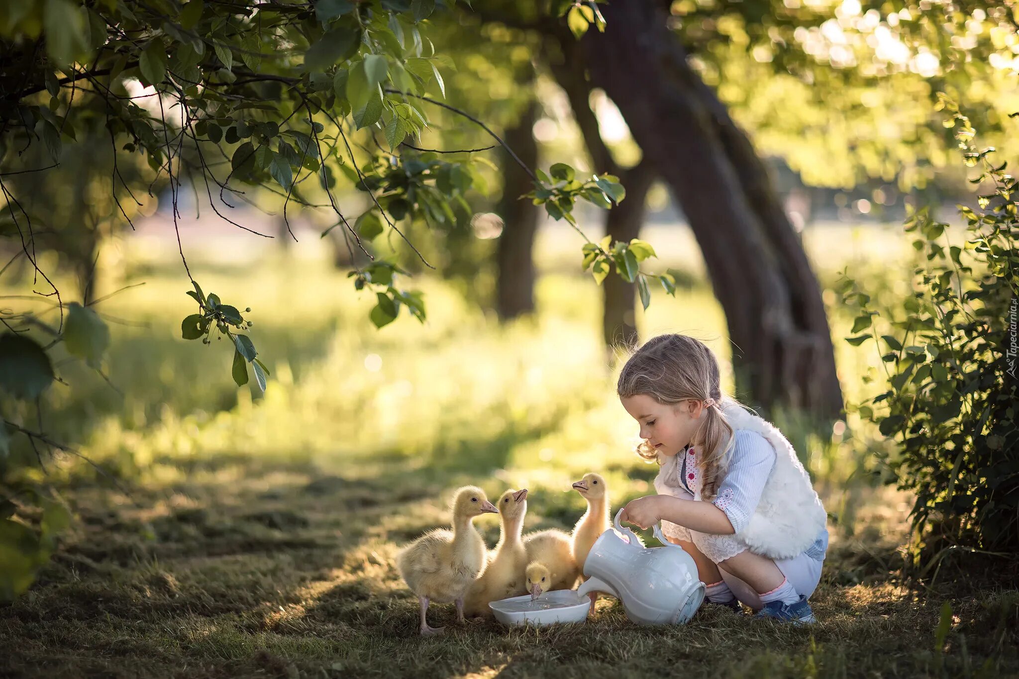 Child nature. Дети и природа. Детская фотосессия на природе. Фотосъемка детей на природе. Малыш на природе.