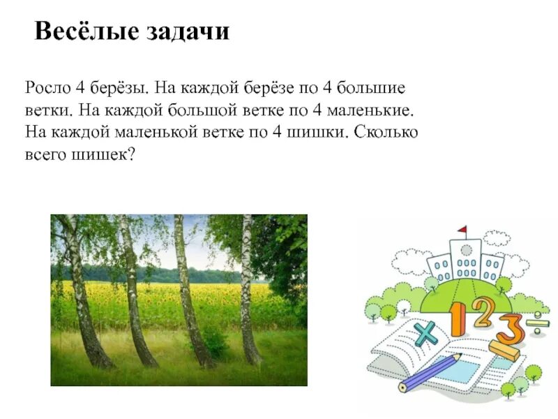 Растут две березы на каждой Березе по четыре шишки сколько всего. Загадка росло 4 березы. Задача на Березе на одной веточке. На каждой березке