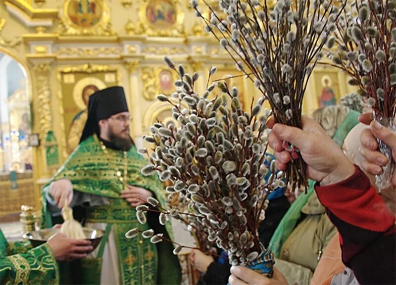 Традиции праздника Вербное воскресенье. Вербное воскресенье освящение вербы. Верба Церковь Вербное Воскресение. Верба Церковь Вербное Воскресение праздник.