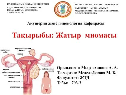 Орыс жетілген әйелдер ебля видео