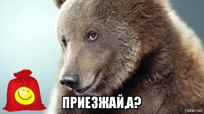 Маша и медведь - YouTube