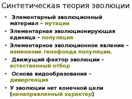 Синтетическая популяция