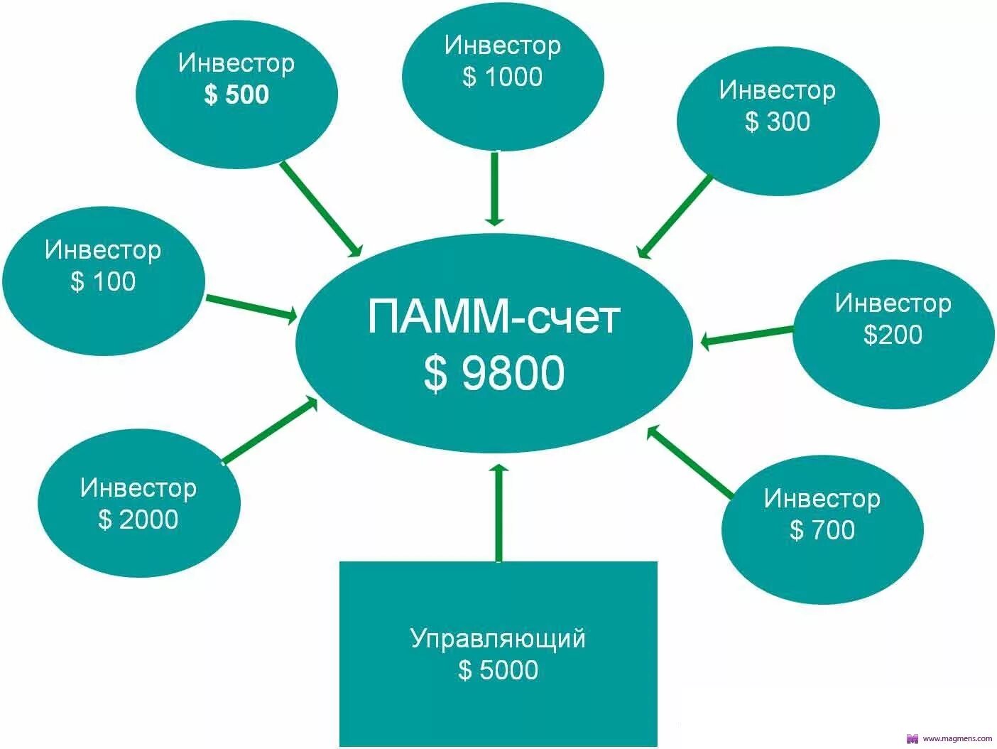 Памм счета. ПАММ-счёт. Схема ПАММ счета. PAMM-счета мошенничество. Схема работы ПАММ счета.