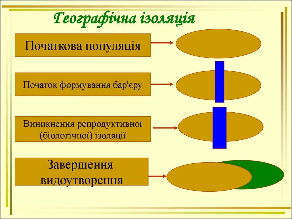 Видообразование. Изоляция и видообразование. Географическое видообразование. Процессы видообразования. Причины изоляции популяции