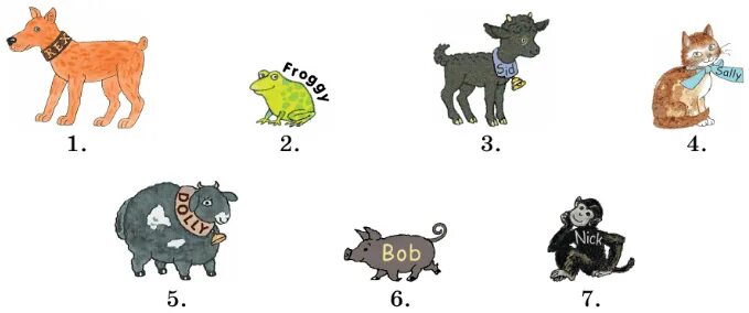 Английский степ 22. Скажи какого цвета эти животные проверь себя. rainbow english животные. скажи какого цвета эти животные проверь себя английский язык 2 класс. английский язык 2 класс rex is red.