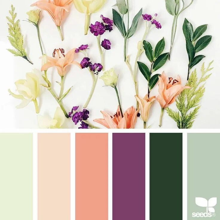 Подобрать цветовую гамму для сайта GitHub KonstantinHeinrich/Color-Schemes-Installer-Designer-Format: Color Schem