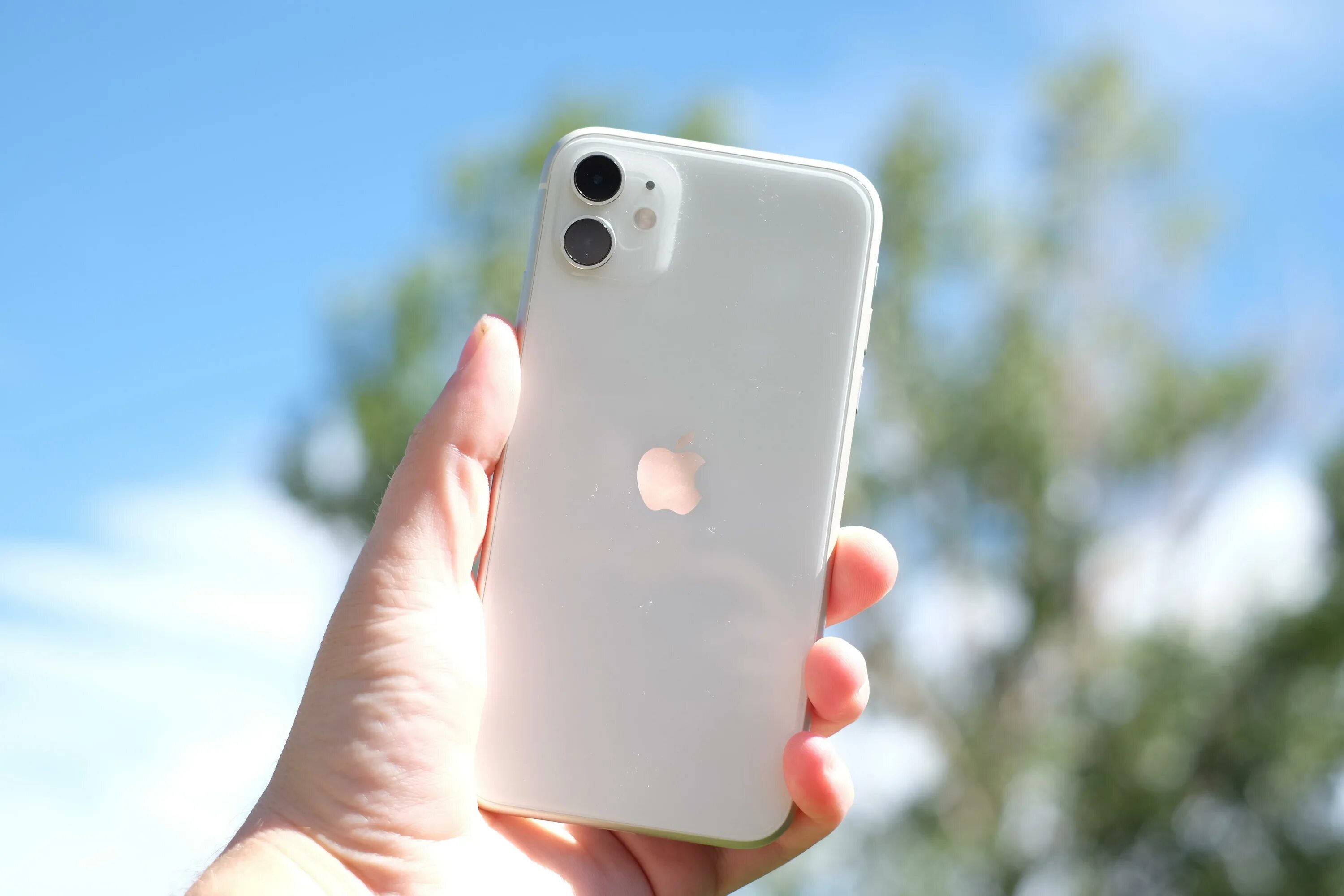 Айфон 11 128 гб рассрочка. Iphone 11 White. Iphone 12 White. Apple iphone 11 Pro белый. Iphone 13 Pro White.