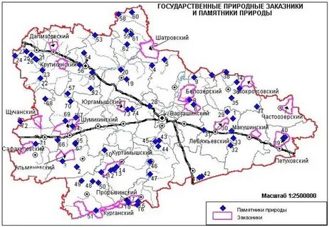Информационные технологии курганская область
