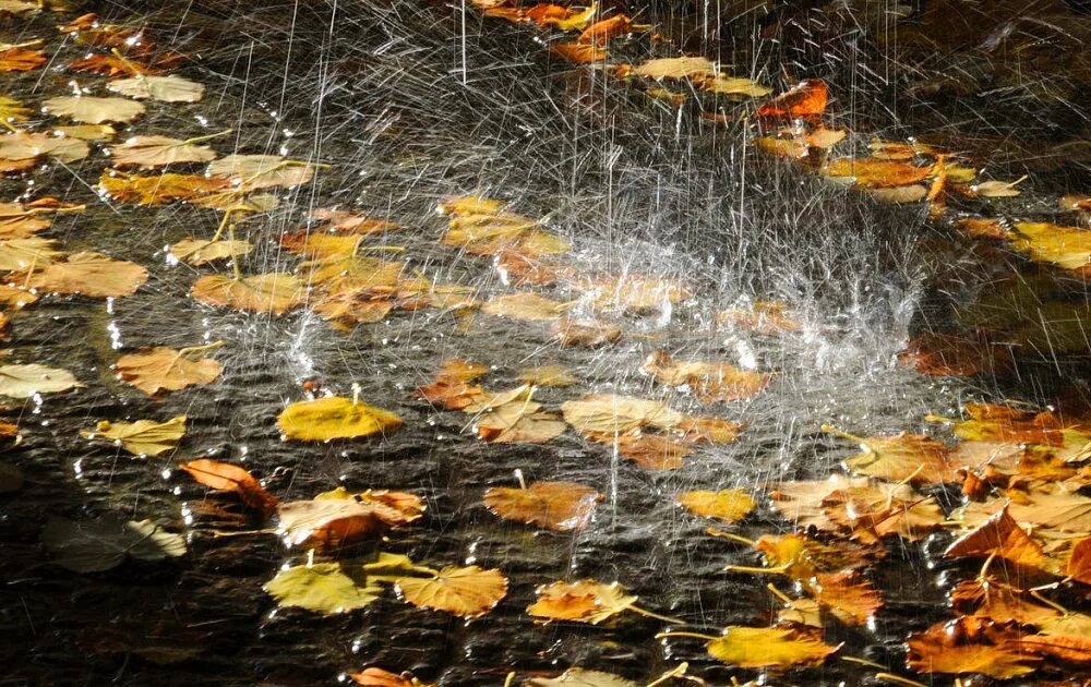 Осадки 1 сентября. Сентябрь в городе. Осадки 1 сентября. День знаний. Осадки 1 сентября.