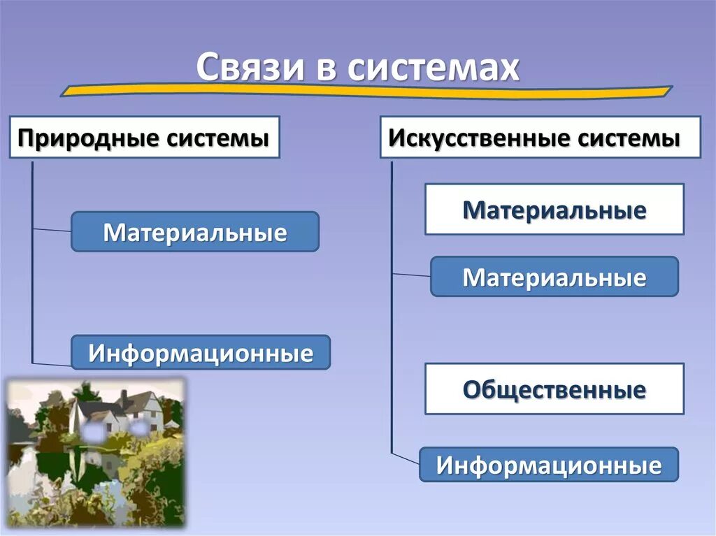 Искусственные системы организмов