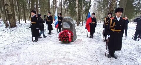 Гатчина геноцид