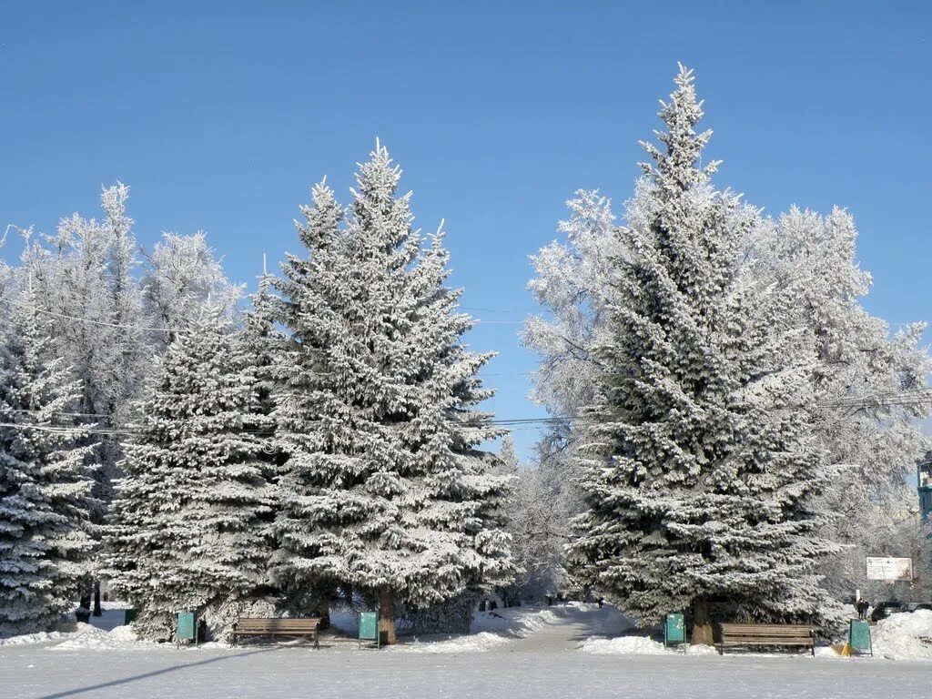 новомосковск зимой. зимний новомосковск тульская область. новомосковск тульская область зимой. новомосковск город тульская область зима. зимний новомосковск тульская область.