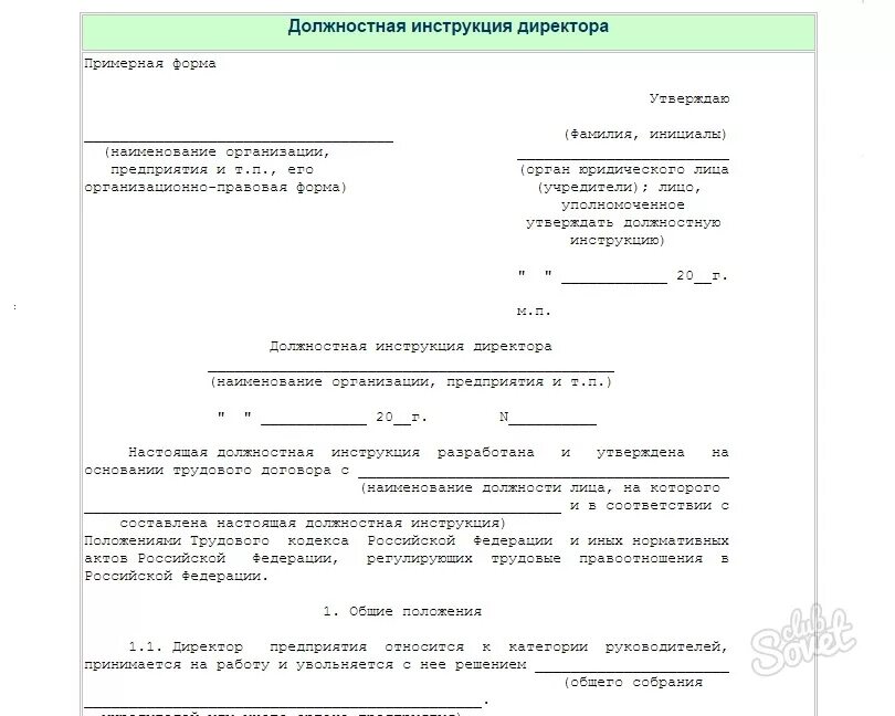 Должностная инструкция 2023 года образец. Образец типовой должностной инструкции. Должностная инструкция образец заполненный. Образец Бланка должностной инструкции. Типовой бланк должностной инструкции.