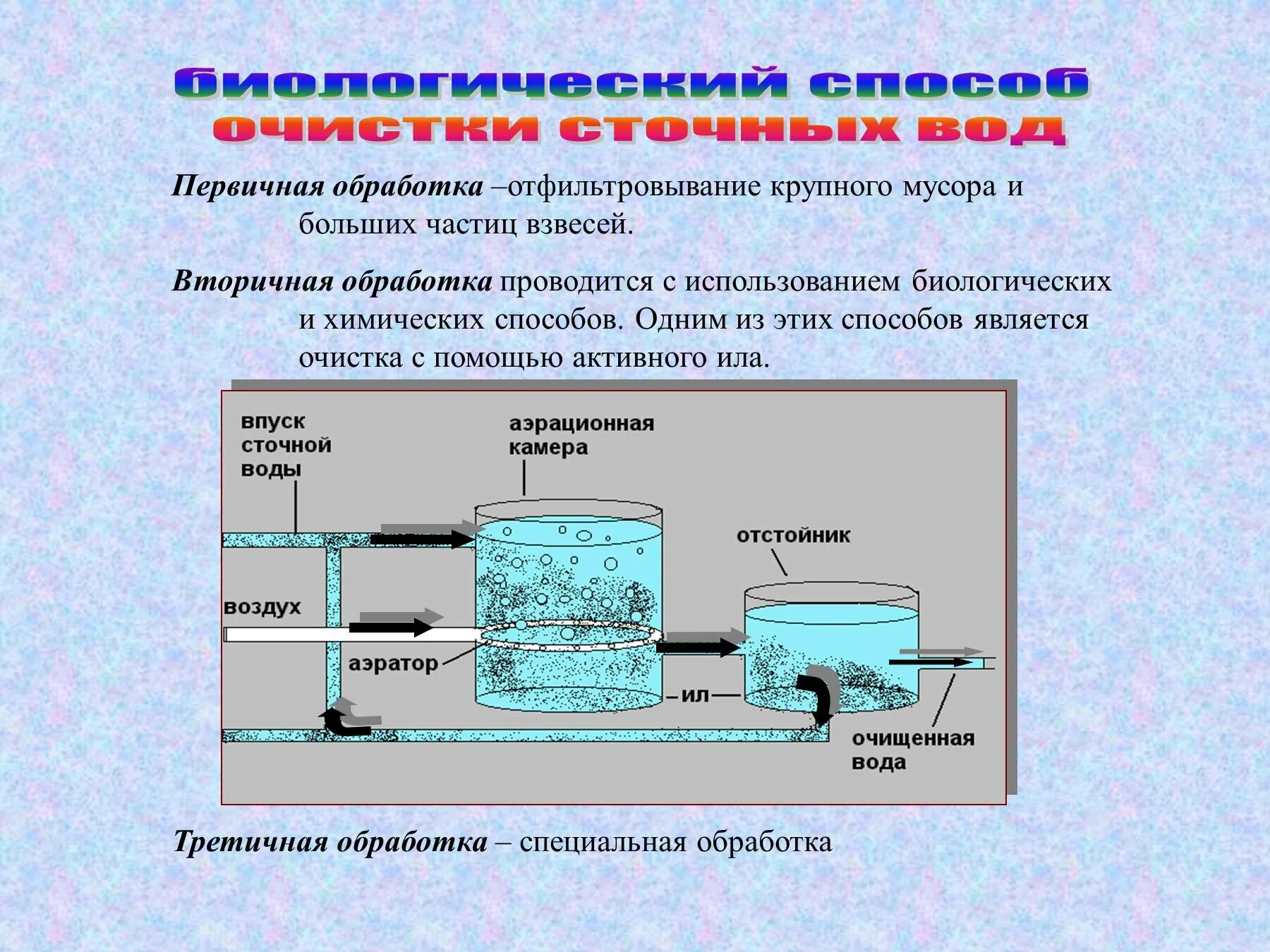 Очистка воды от органических. Этапы биологической очистки сточных вод схема. Биологический метод очистки сточных вод схема. Схема очистки воды биологический метод очистки. Биологическая фильтрация очистных сооружений.